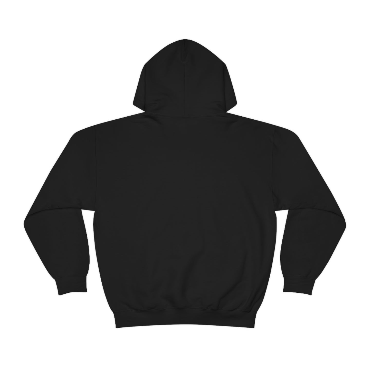 TR 808 Hooded Sweatshirt