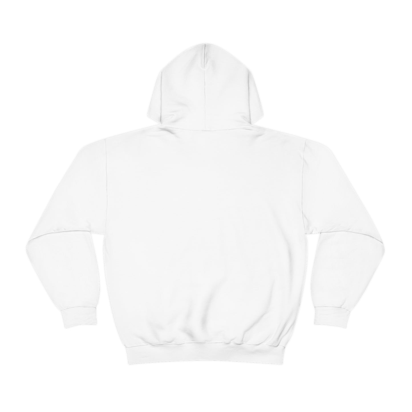 TR 808 Hooded Sweatshirt